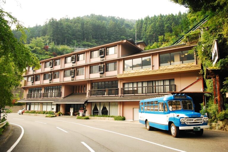 新祖谷温泉 ホテルかずら橋
