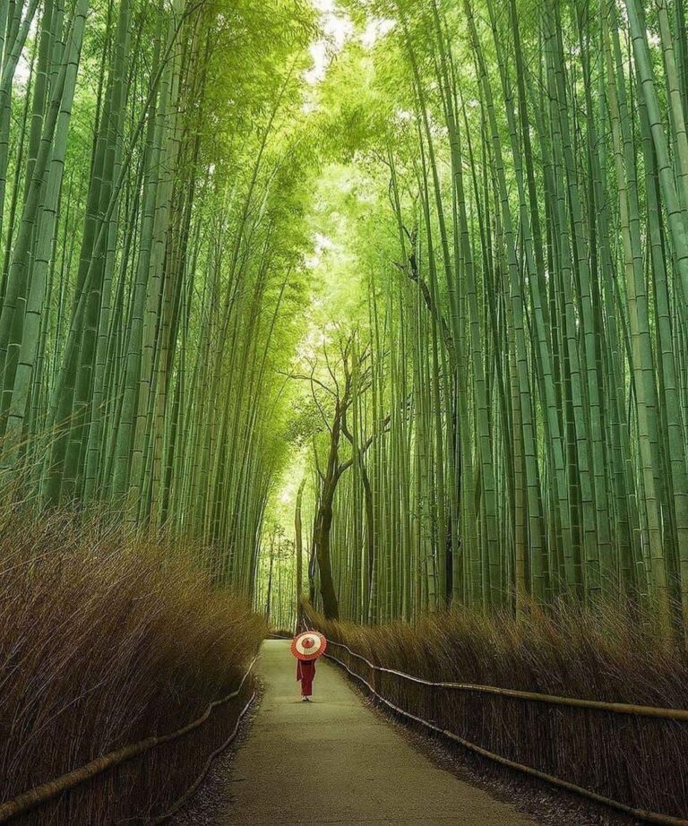 嵐山