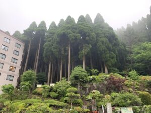 硫黄谷温泉 霧島ホテル