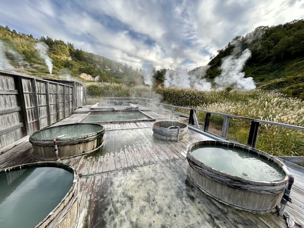 源泉·秘湯の宿 蒸ノ湯温泉 ふけの湯